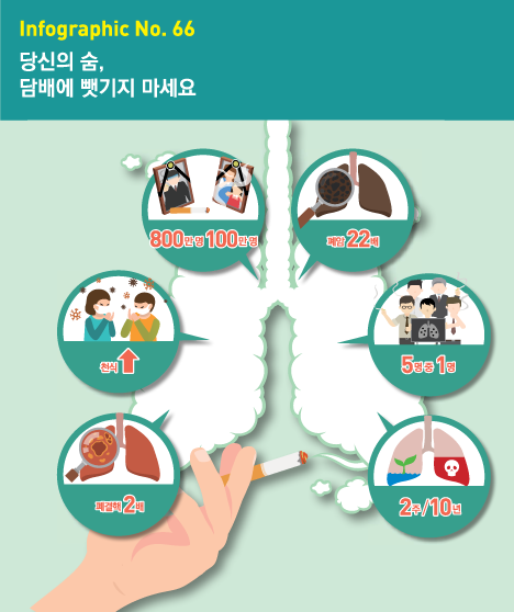 인포그래픽