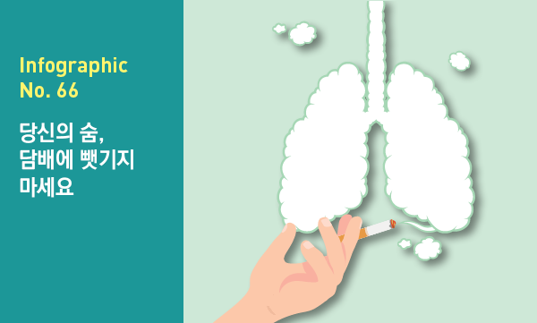 인포그래픽