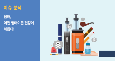 이슈분석